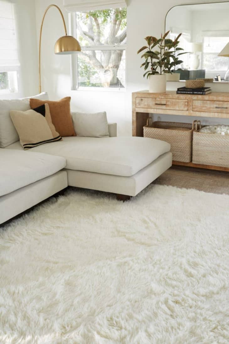 https://cdn.apartmenttherapy.info/image/upload/f_auto,q_auto:eco,w_730/egret-white-shag-ruggable-washable-rug