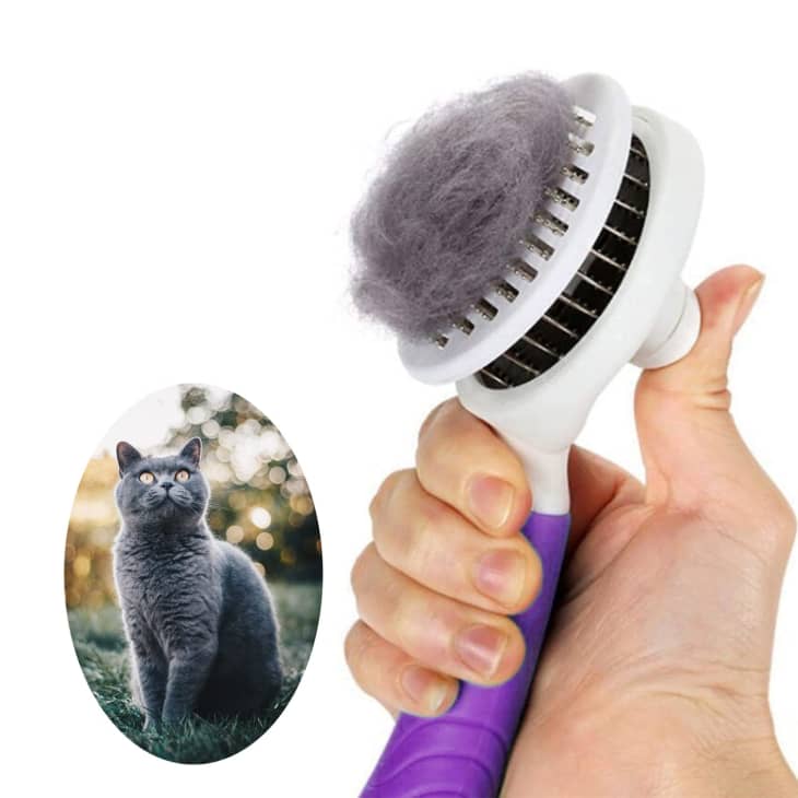 Product Image: Self-Cleaning Cat Grooming Brush