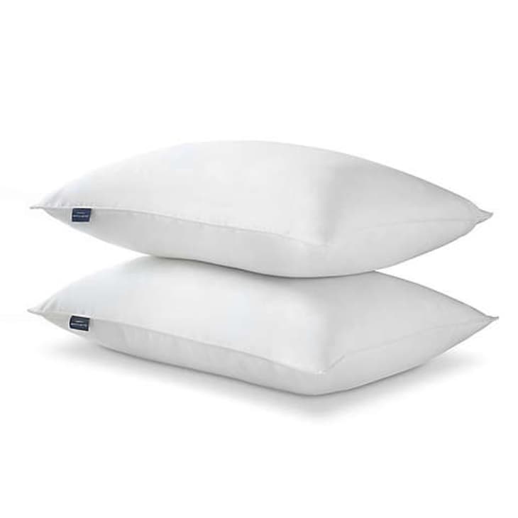 Product Image: Therapedic Wholistic 2-Pack Down Alternative Standard/Queen Bed Pillow
