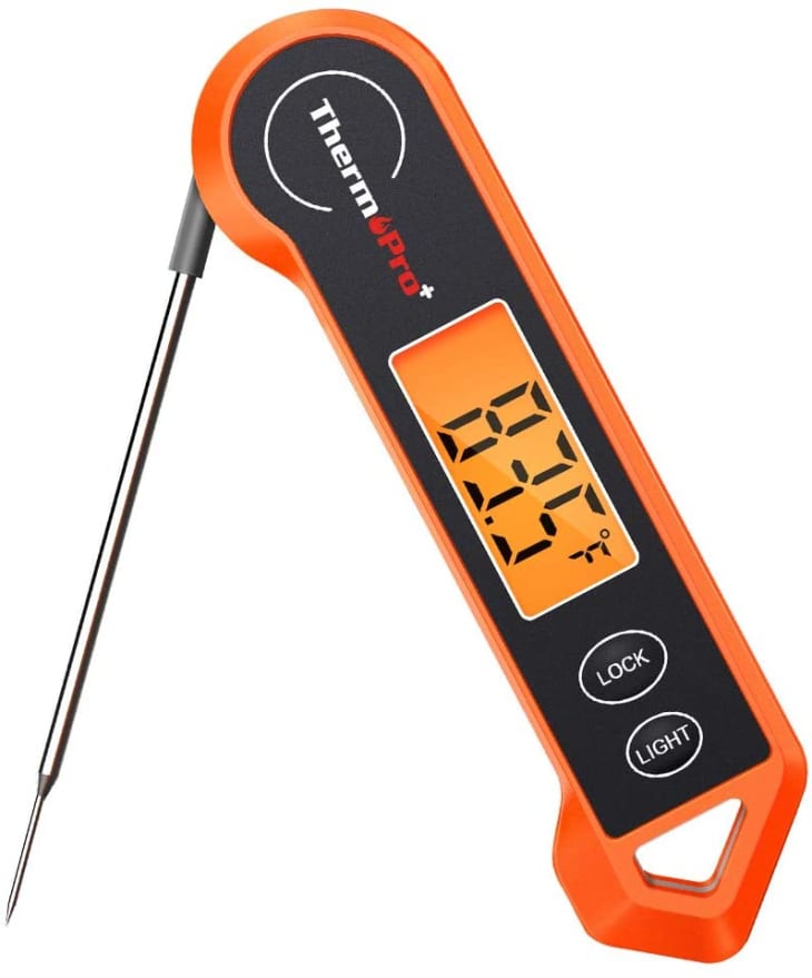 TP19H Digital Instant Read Meat Thermometer at ThermoPro
