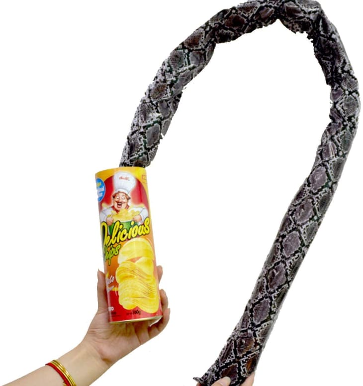 Product Image: Potato Chip Can with a Snake Inside