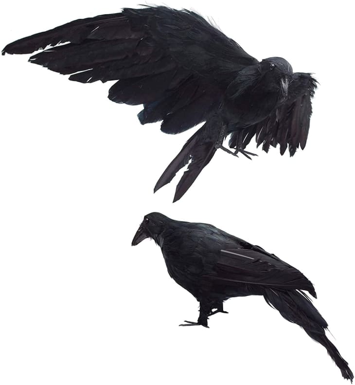 2-Pack Realistic Crows at Amazon