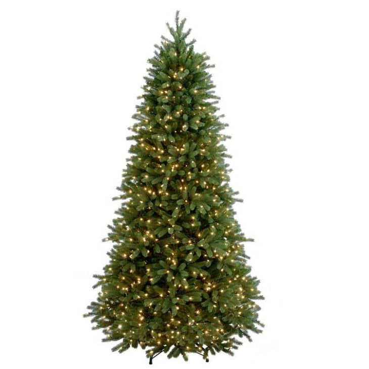 Product Image: National Tree Company Feel Real Jersey Fraser Fir Pre-Lit with Multicolored Lights