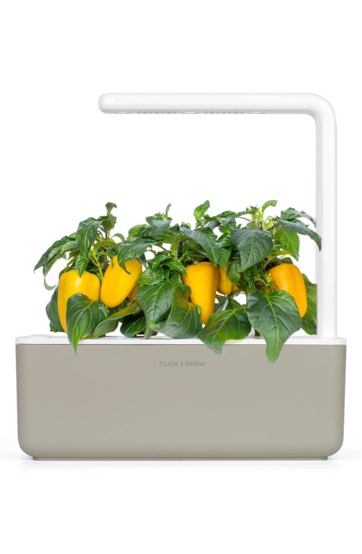 Product Image: Click & Grow Smart Garden 3 Self Watering Indoor Garden