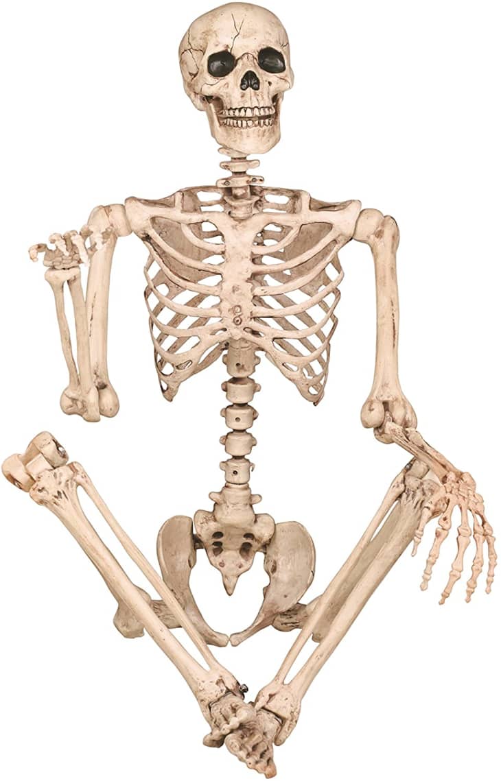 Product Image: Crazy Bones Pose-N-Stay Skeleton
