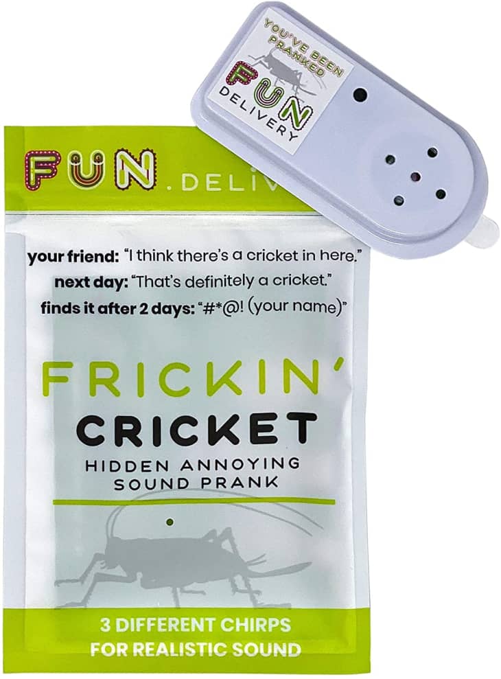 Product Image: Hidden Cricket Sound Prank