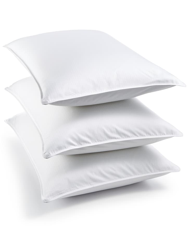 Charter Club Medium Density Standard/Queen Down Pillow at Macy’s