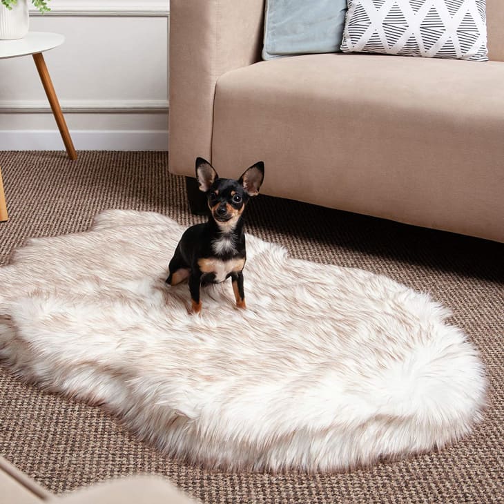 Product Image: iHappyDog Luxury Faux Fur Orthopedic Dog Bed, Small