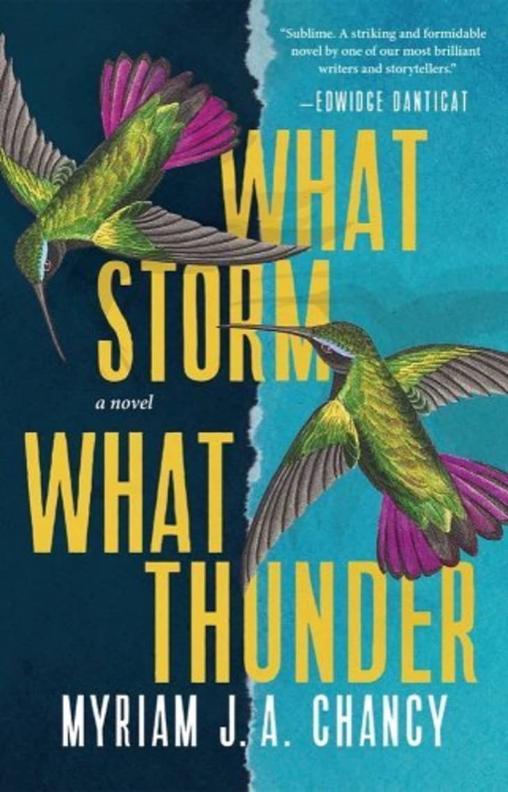 What Storm, What Thunder at Bookshop