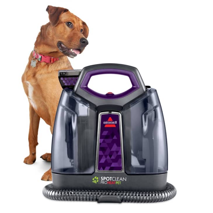 Product Image: BISSELL SpotClean ProHeat Pet Portable Carpet Cleaner