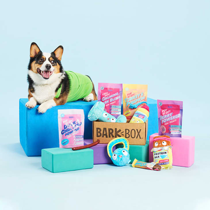 BarkBox Subscription — 3 Months (3 boxes) at BarkBox