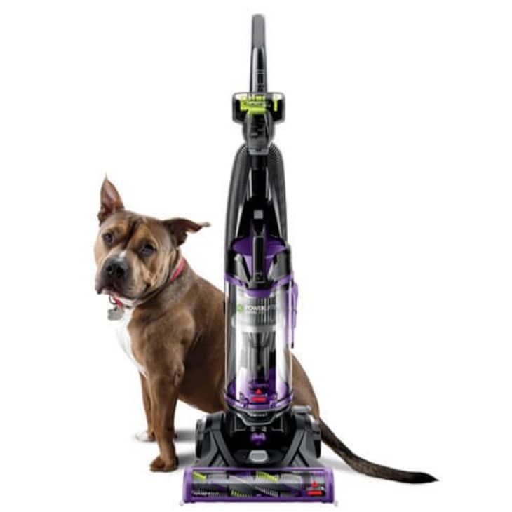 Product Image: Bissell PowerLifter Pet with Swivel Bagless Upright Vacuum, 2260