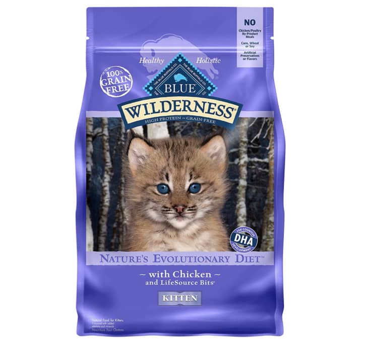 Best Adult Cat and Kitten Food Brands According to a Vet ...