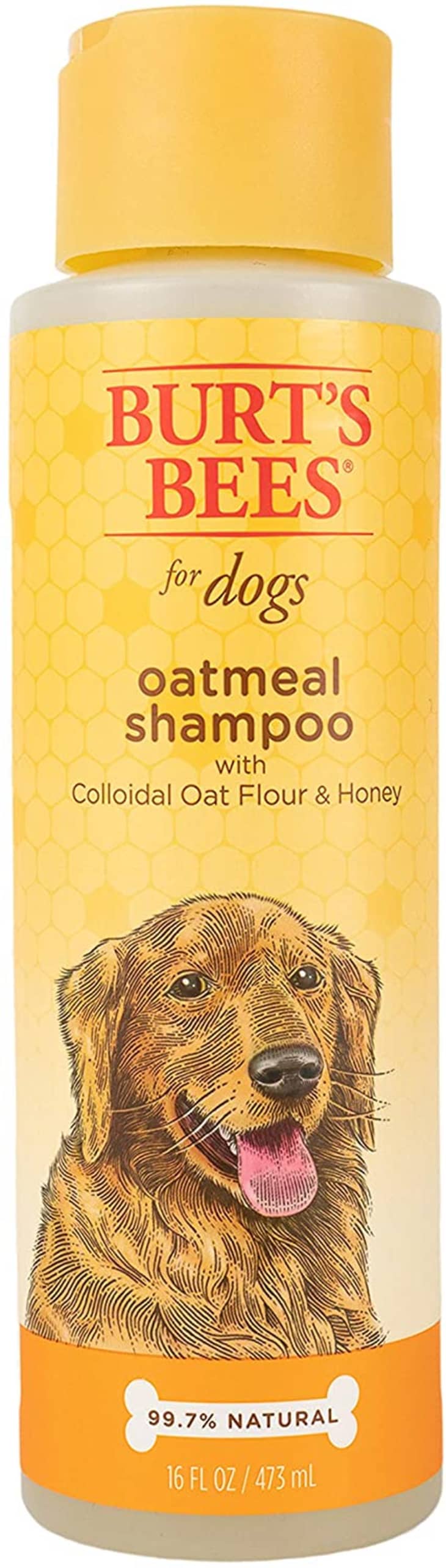 Product Image: Burt's Bees for Dogs Natural Oatmeal Shampoo