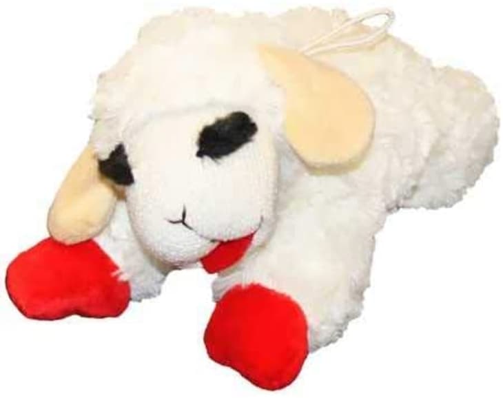产品形象:多宠物羊排吱吱长毛绒狗玩具