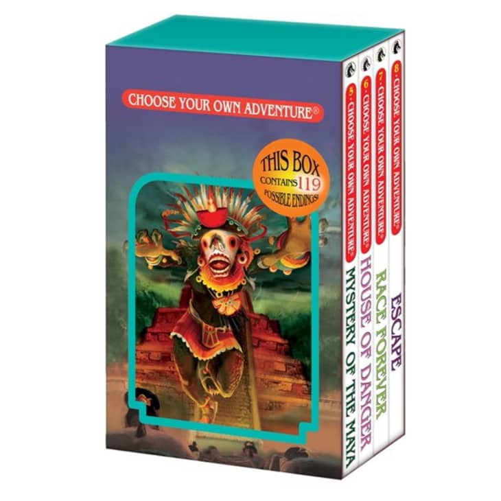 Product Image: Choose Your Own Adventure - 4 Book Boxed Set
