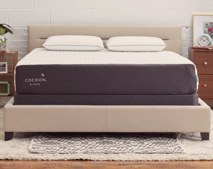 The Chill Mattress, Hybrid, Queen at Cocoon by Sealy