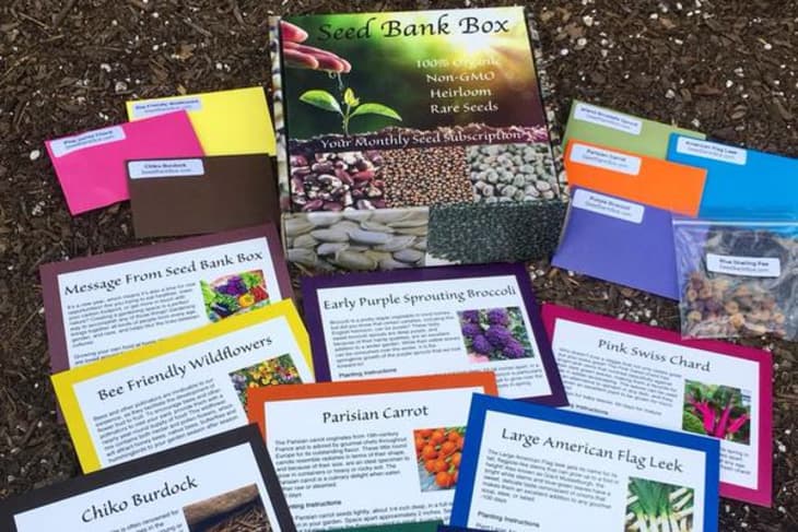 Product Image: Seed Bank Box Subscription — 6 Months (6 boxes)