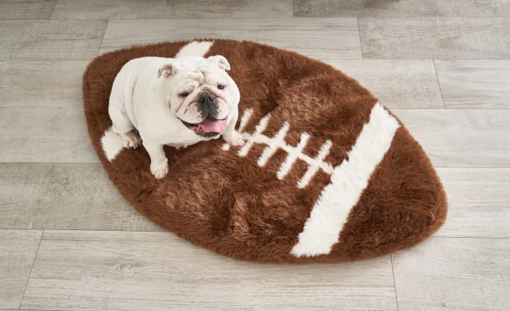 PupRug™ Faux Fur Orthopedic Dog Bed - Football at Paw