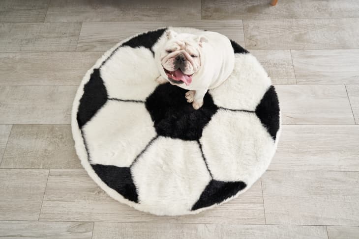 PupRug™ Faux Fur Orthopedic Dog Bed - Soccer Ball at Paw