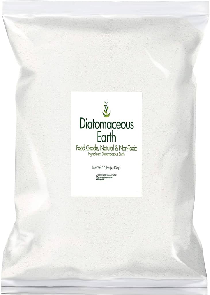 Diatomaceous Earth at Amazon