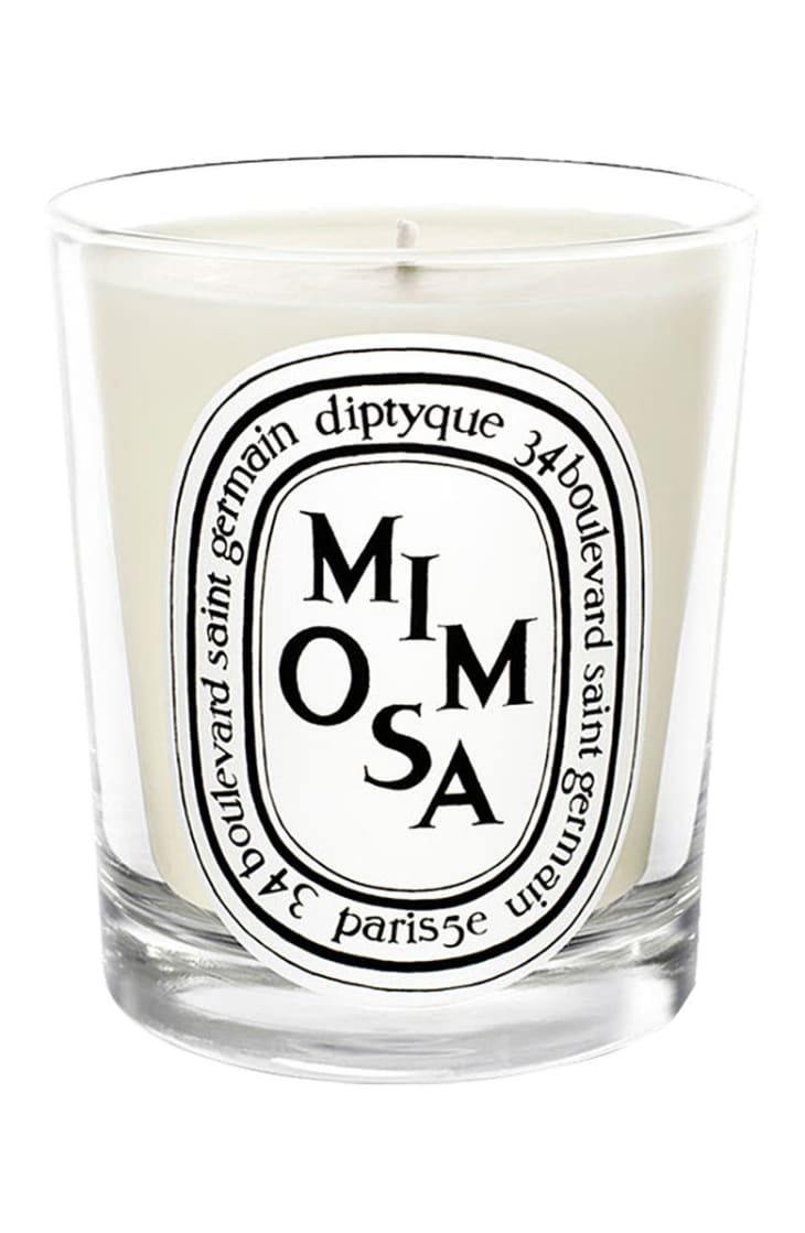 Product Image: Diptyque Mimosa Scented Candle, 6.5 oz
