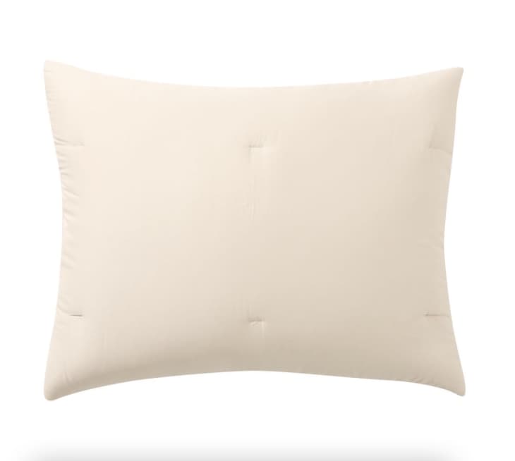 Dream Brushed Cotton Comforter Sham, Rosewater at Pottery Barn