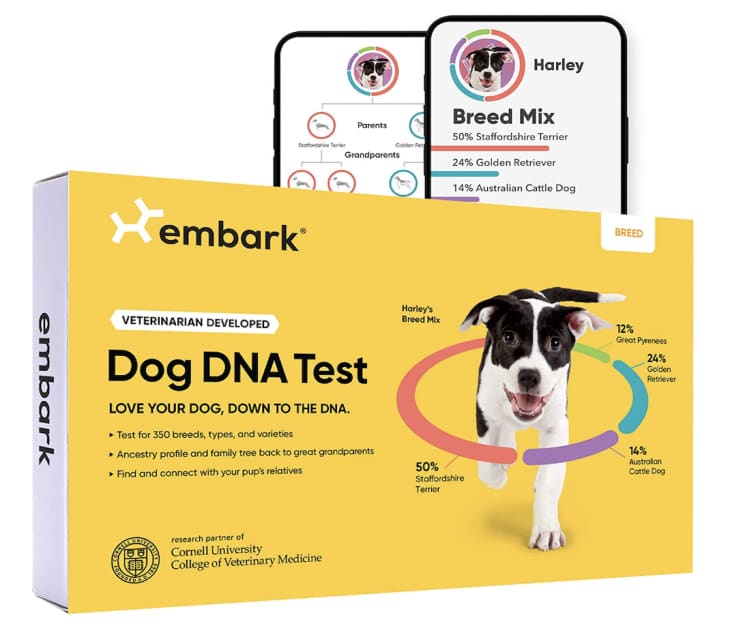 Embark Breed Identification Kit at Amazon
