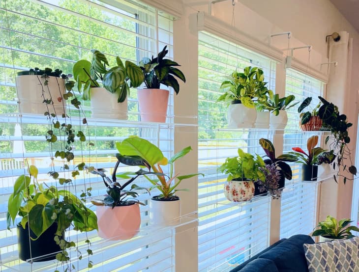 Indoor Window Gardens Window Hanging Plant 2-Tier Shelf at Etsy