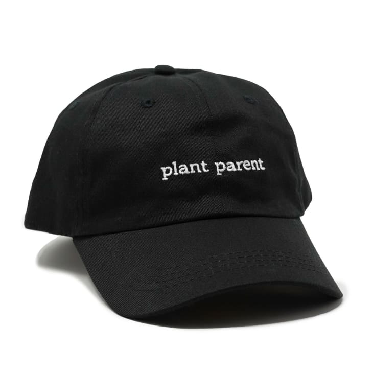 产品形象:植物家长爸爸帽