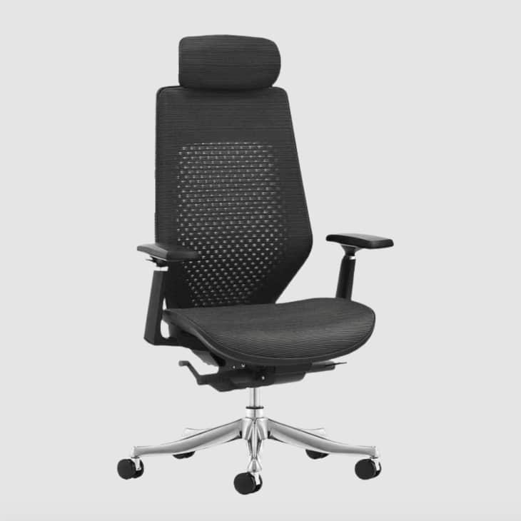 C8 Ergonomic Chair Pro at FlexiSpot