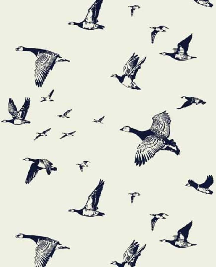 Product Image: Flock in Flight by Lake August