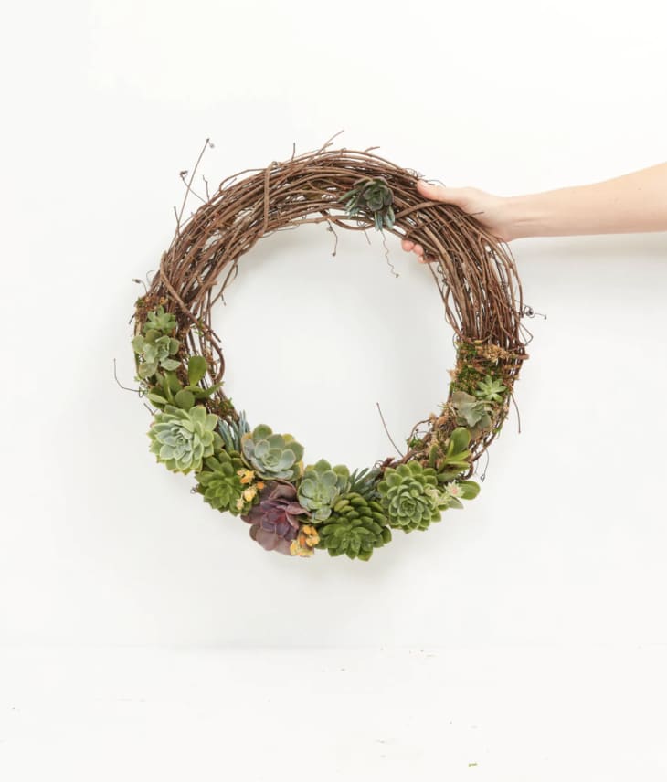 Product Image: Fresh Live Succulent Wreath