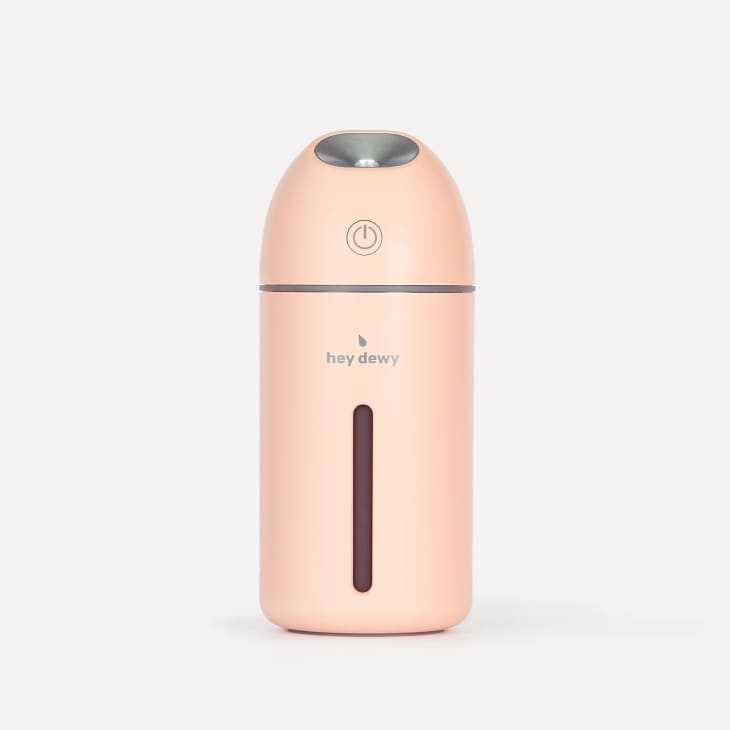 Wireless Facial Humidifier at Hey Dewy