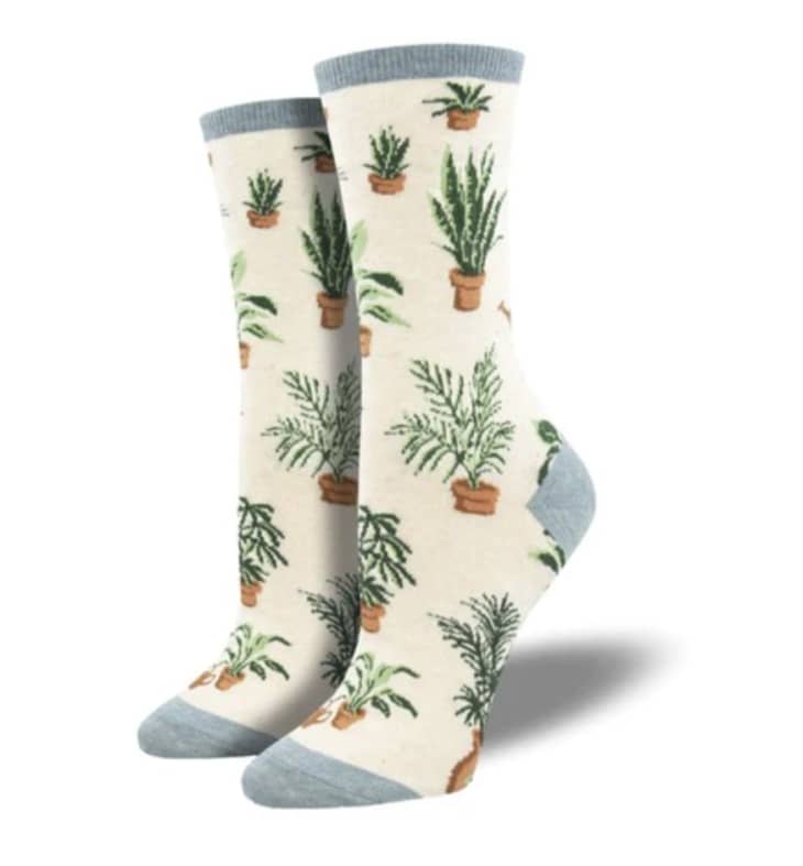 Product Image: Home Grown Women's Socks