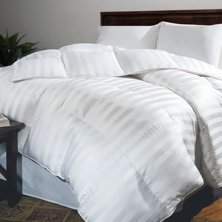 Product Image: Hotel Grand Oversized 500 TC Siberian White Down Comforter