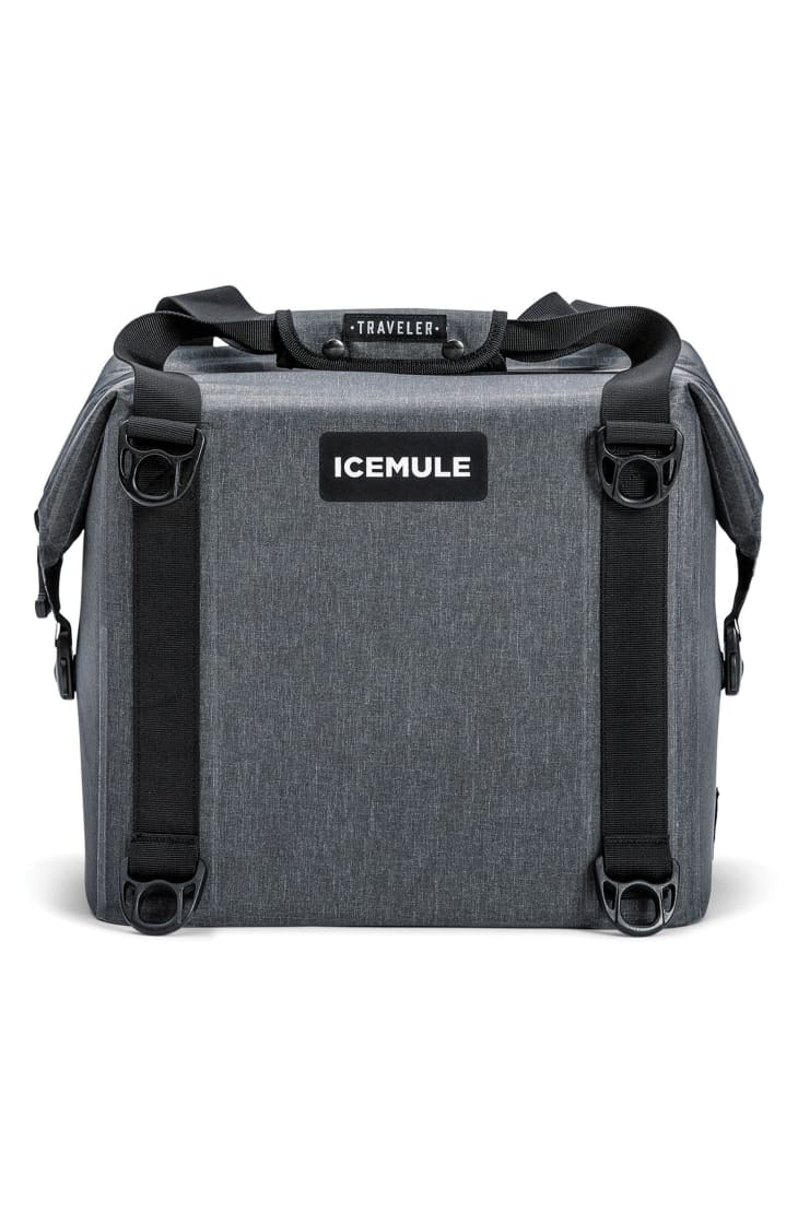 Icemule Traveler 25-Liter Cooler Backpack at Nordstrom