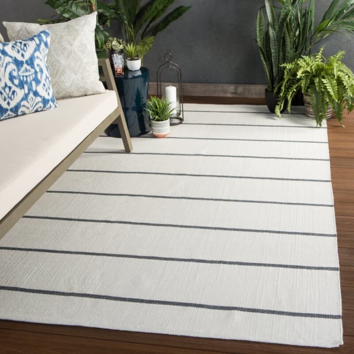 Product Image: Iroh Ivory Handwoven Recycled P.E.T. Area Rug, 5' x 8'