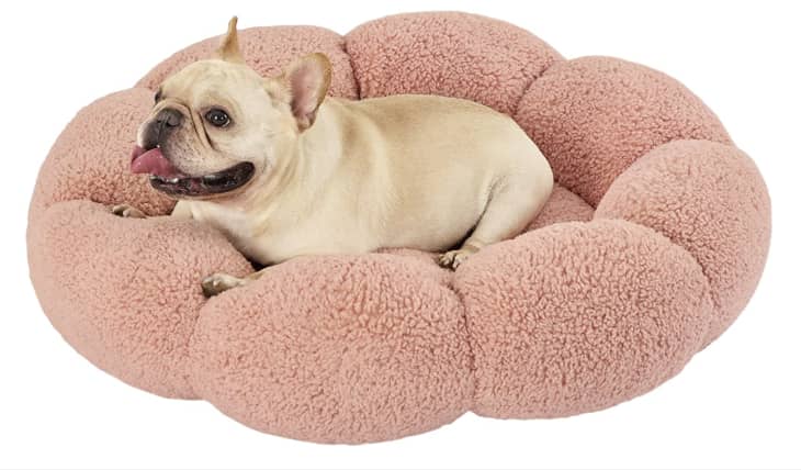 Product Image: Lesure Calming Flower Pet Bed, Medium