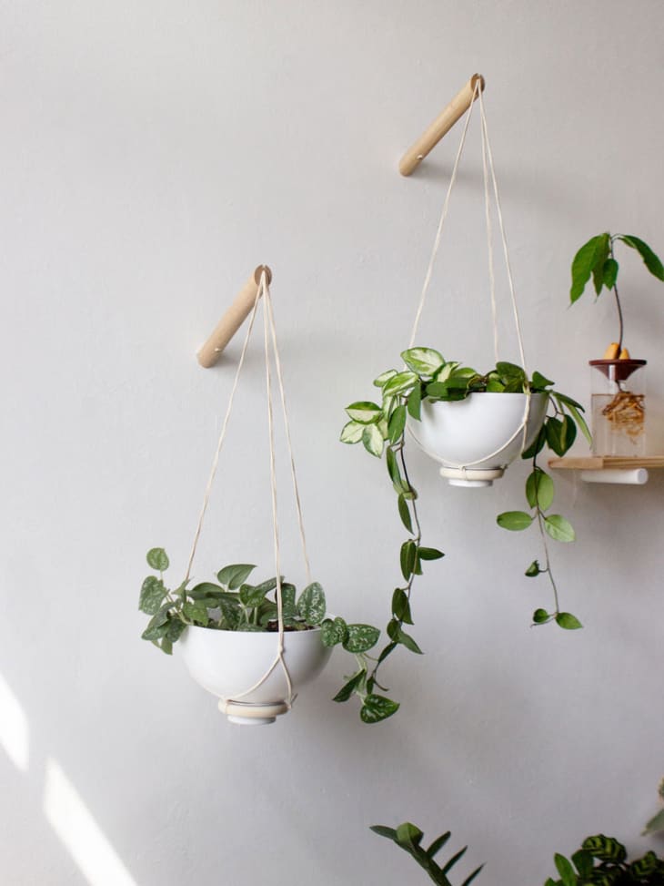 boho hanging planter Medium Wooden Hanging Planter, Bubble Hanger, Planter With Saucer, Air main image 0