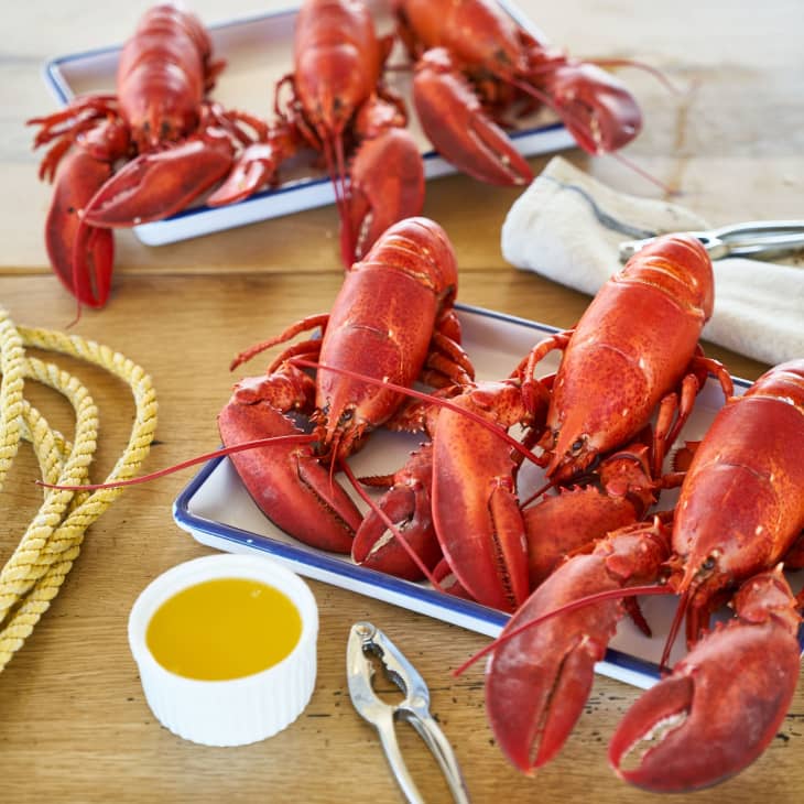 6 Live Maine Lobsters at Luke's Lobster