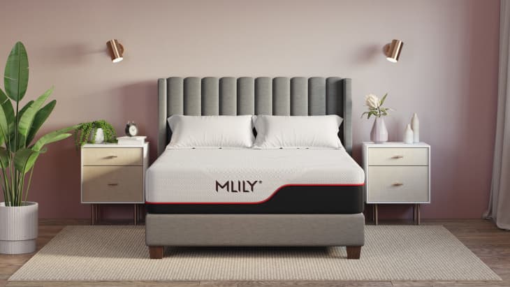 Product Image: MLILY Dream