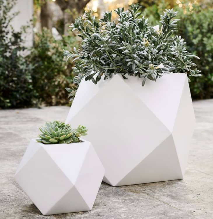 Faceted Modern Indoor/Outdoor Planters at West Elm