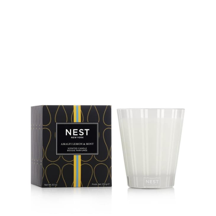 Product Image: NEST Almafi Lemon and Mint Candle, 8.1 oz.