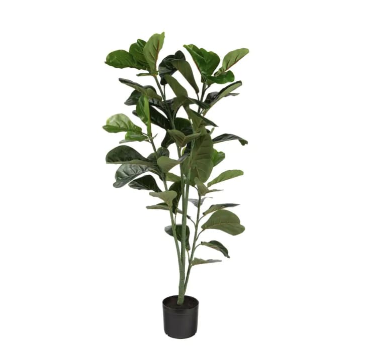 Naturae Decor Artificial 47-inch Fiddle Leaf at Home Depot
