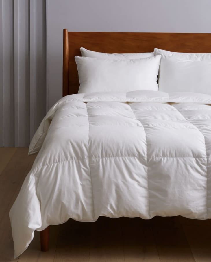 Premium Down Comforter at Quince
