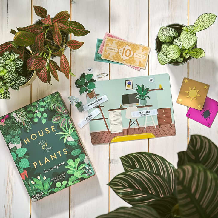 Product Image: Ridley’s House of Plants: The Card Game