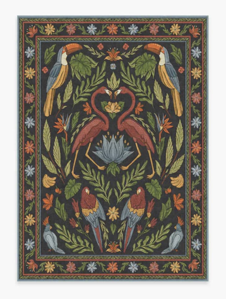 Product Image: Iris Apfel Birds of a Feather Rug, 5' x 7'