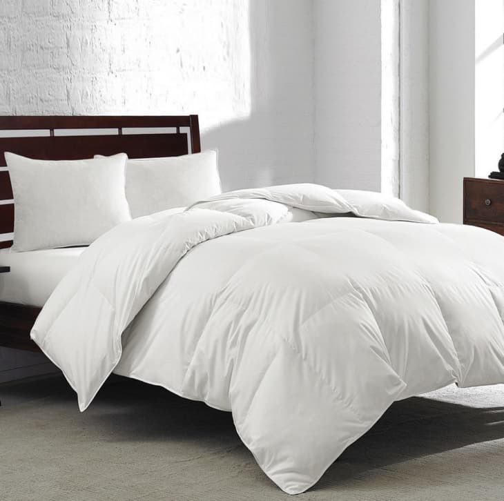Royal Luxe White Goose Feather & Down 240-Thread Count Full/Queen Comforter at Macy’s