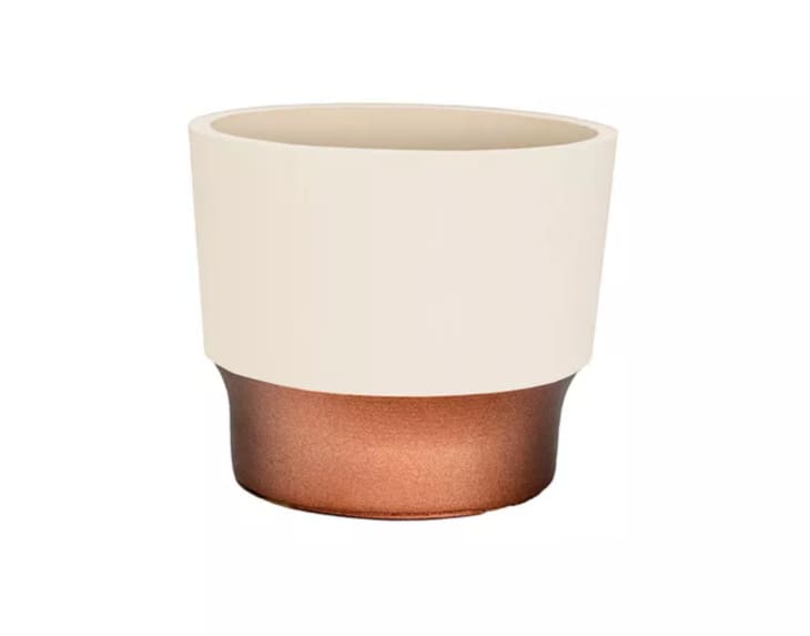 Product Image: 3-Inch Round Plastic Sprite Decorative Indoor Flower Succulent Planter Pot